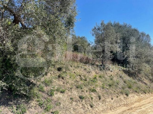 terreno agricolo in vendita a Ponzano Romano