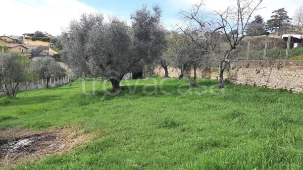 terreno agricolo in vendita a Riano
