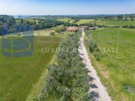azienda agricola in vendita a Riano