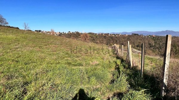 terreno agricolo in vendita a Riano
