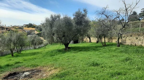casa indipendente in vendita a Riano