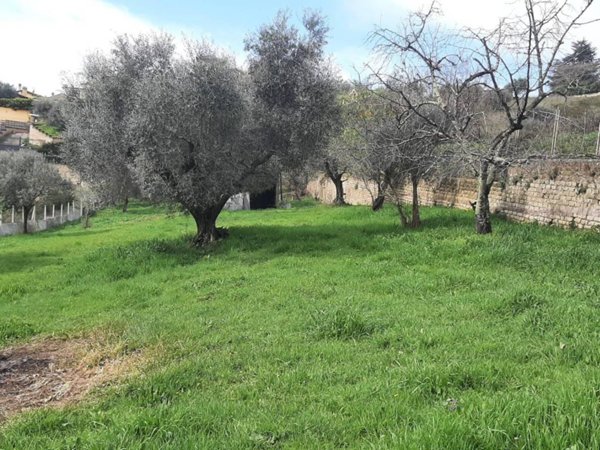 terreno agricolo in vendita a Riano