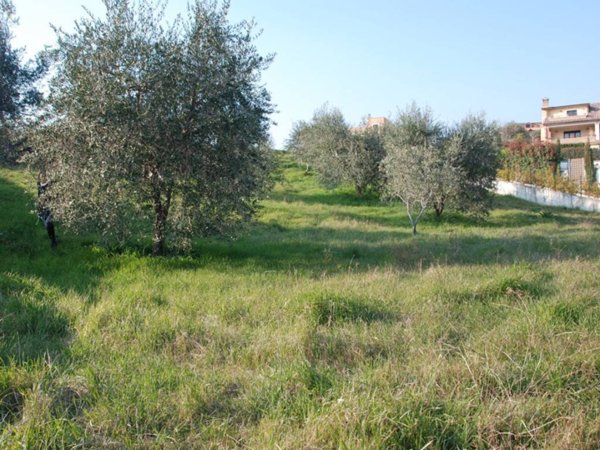 terreno agricolo in vendita a Riano