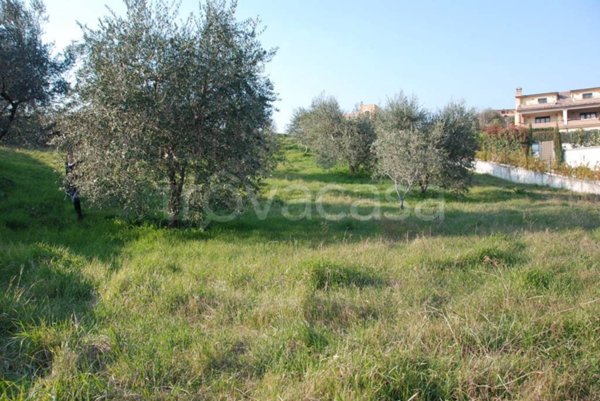 terreno agricolo in vendita a Riano