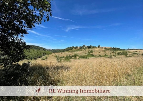 terreno agricolo in vendita a Rignano Flaminio