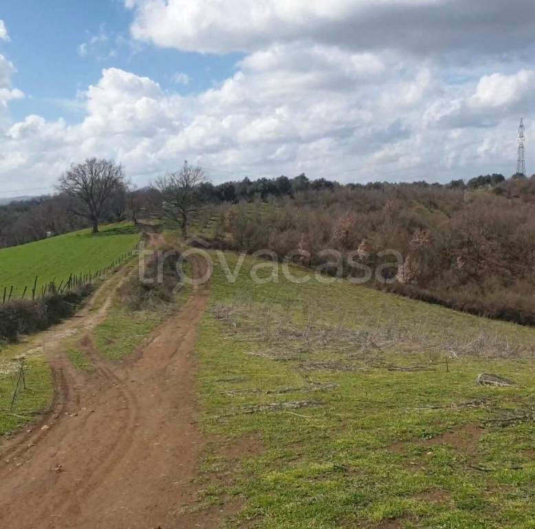 terreno agricolo in vendita a Rignano Flaminio