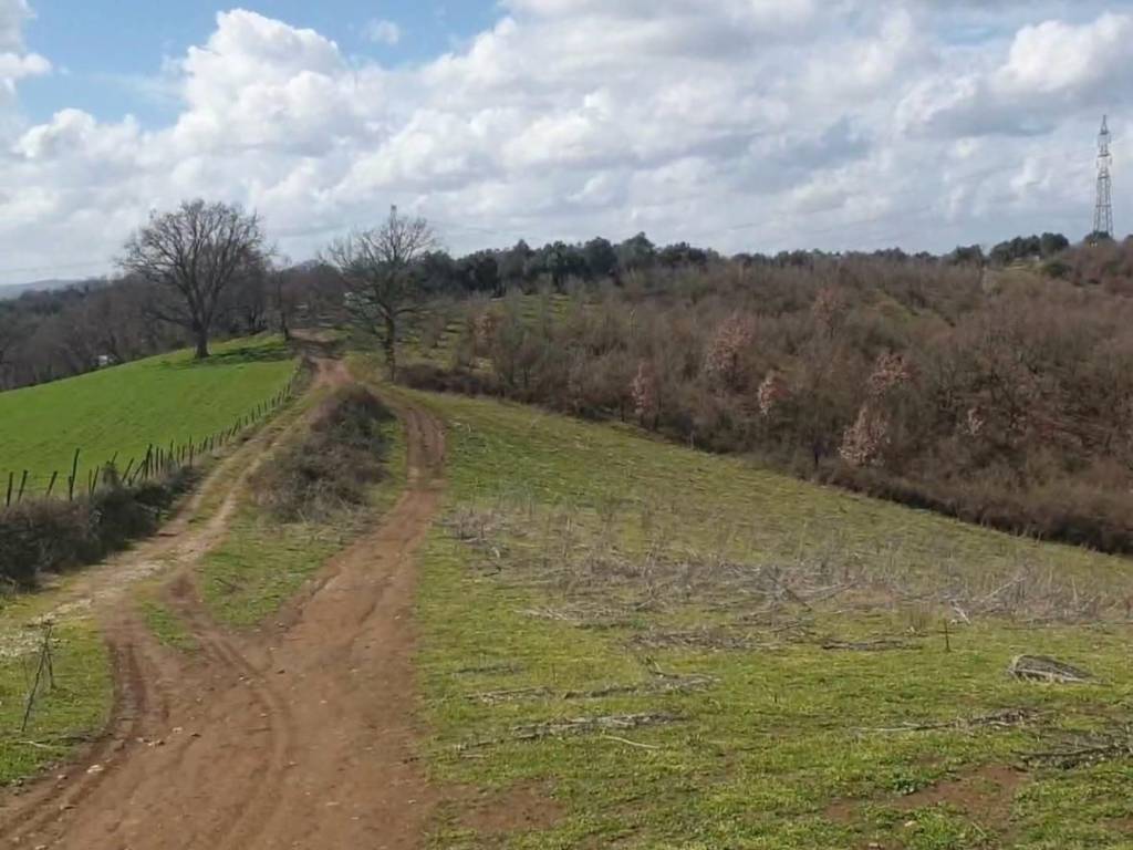 terreno agricolo in vendita a Rignano Flaminio