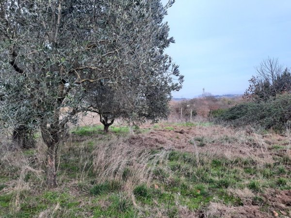 appartamento in vendita a Rignano Flaminio