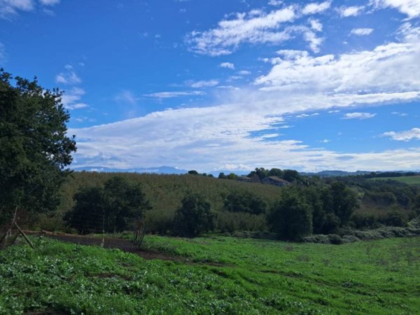 terreno agricolo in vendita a Rignano Flaminio