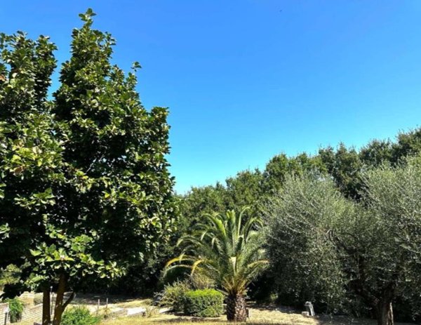 casa indipendente in vendita a Rignano Flaminio