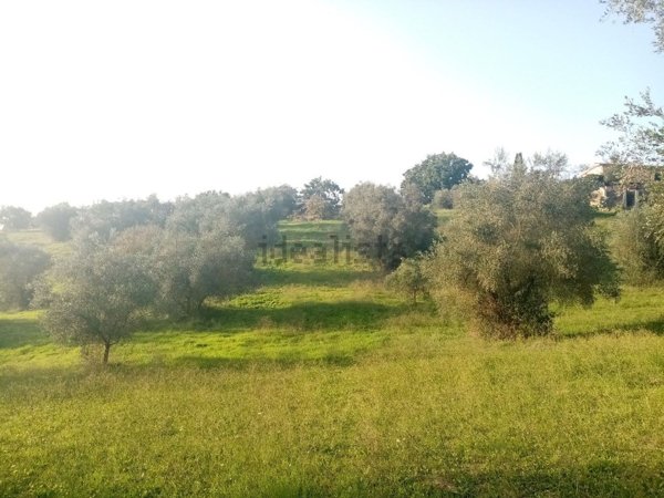 terreno agricolo in vendita a Rignano Flaminio