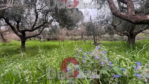 appartamento in vendita a Rignano Flaminio