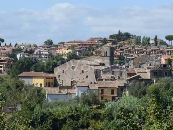 terreno agricolo in vendita a Rignano Flaminio