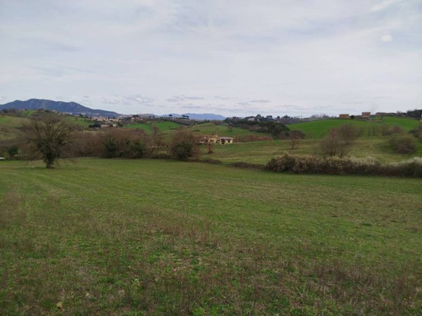 terreno agricolo in vendita a Rignano Flaminio