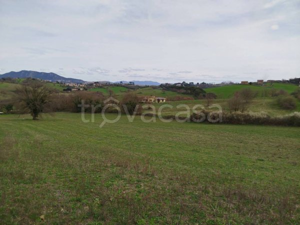 terreno agricolo in vendita a Rignano Flaminio