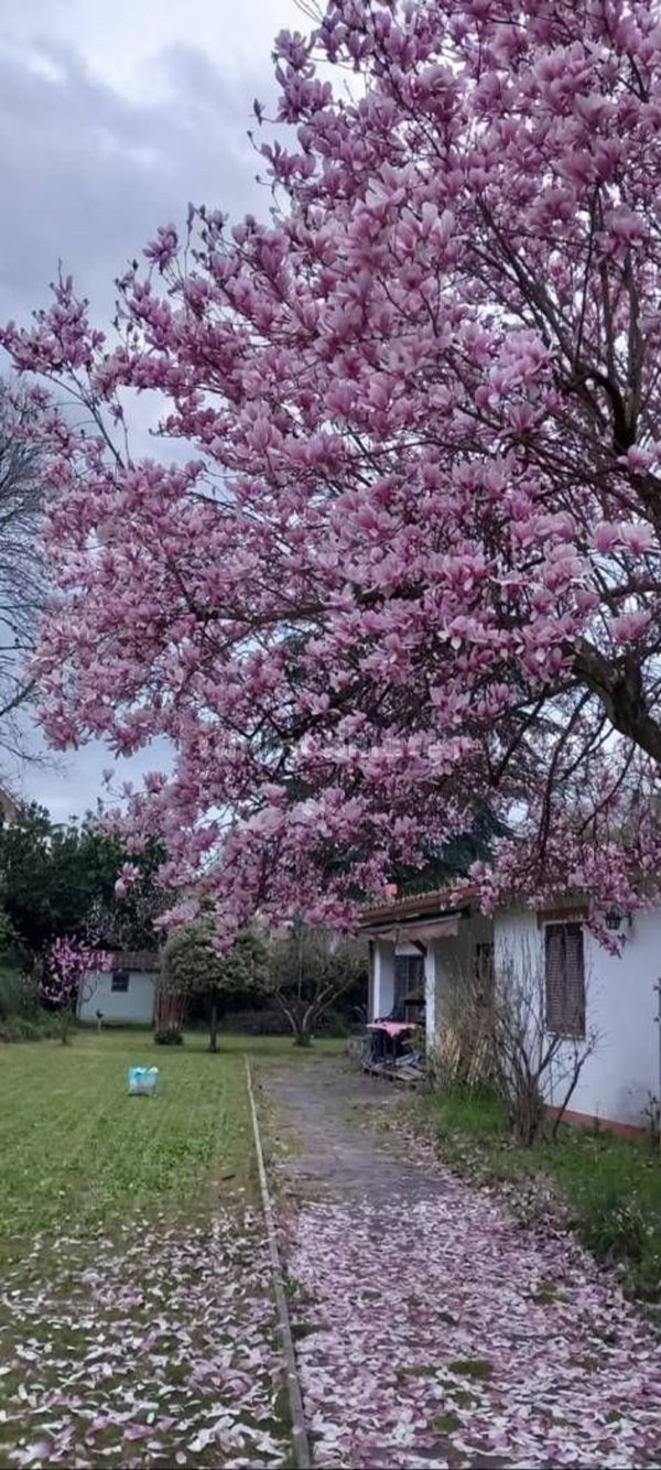 casa indipendente in vendita a Rignano Flaminio in zona Montelarco