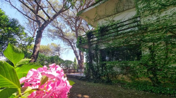 casa indipendente in vendita a Rignano Flaminio in zona Montelarco