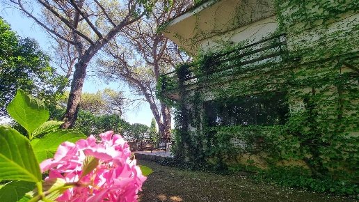 casa indipendente in vendita a Rignano Flaminio in zona Montelarco