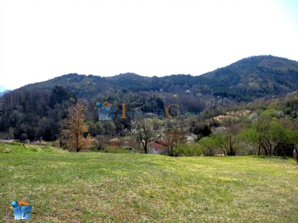terreno agricolo in vendita a Riofreddo