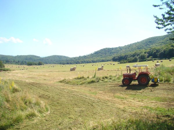 terreno agricolo in vendita a Rocca di Papa in zona Pratoni del Vivaro