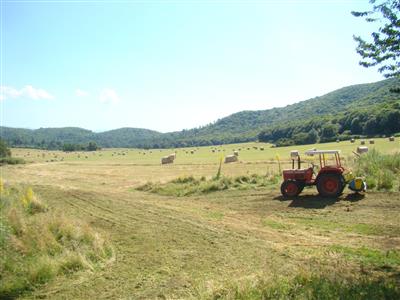 terreno agricolo in vendita a Rocca di Papa in zona Pratoni del Vivaro