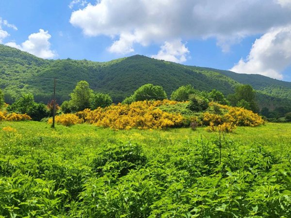 terreno agricolo in vendita a Rocca di Papa in zona Pratoni del Vivaro