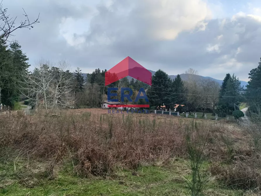 terreno agricolo in vendita a Rocca di Papa in zona Vivaro