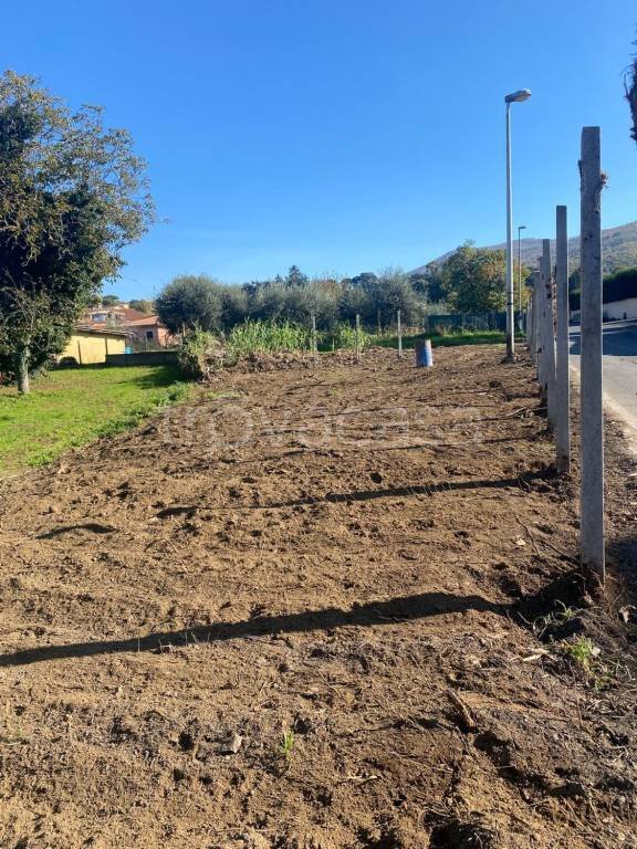 terreno agricolo in vendita a Rocca di Papa