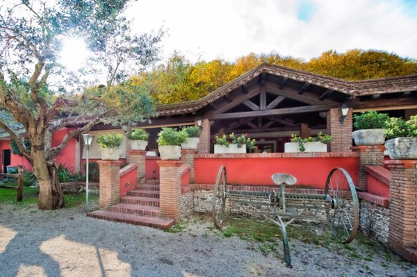 negozio in vendita a Rocca di Papa