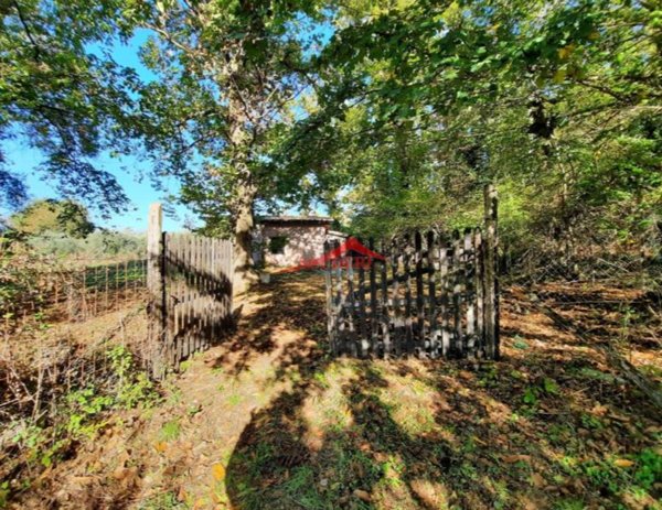 casa indipendente in vendita a Rocca di Papa