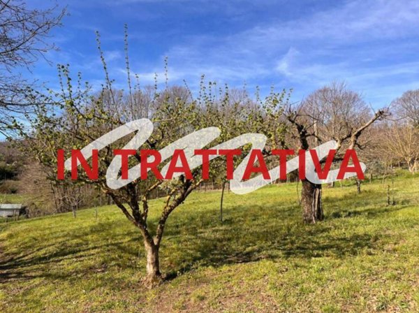terreno agricolo in vendita a Rocca di Papa