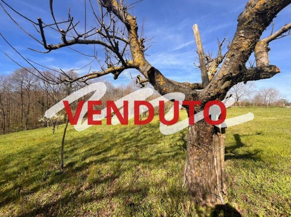 terreno agricolo in vendita a Rocca di Papa