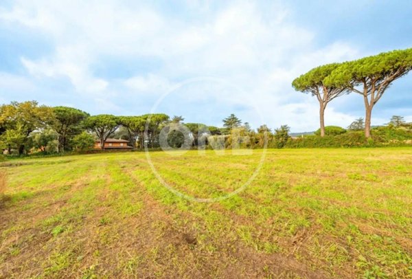terreno agricolo in vendita a Rocca di Papa