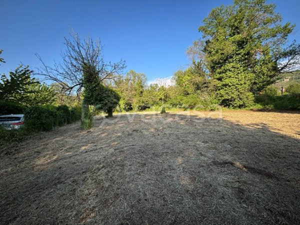 terreno agricolo in vendita a Rocca di Papa