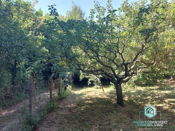 locale di sgombero in vendita a Rocca di Papa