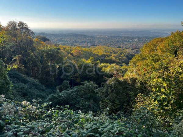 terreno agricolo in vendita a Rocca di Papa
