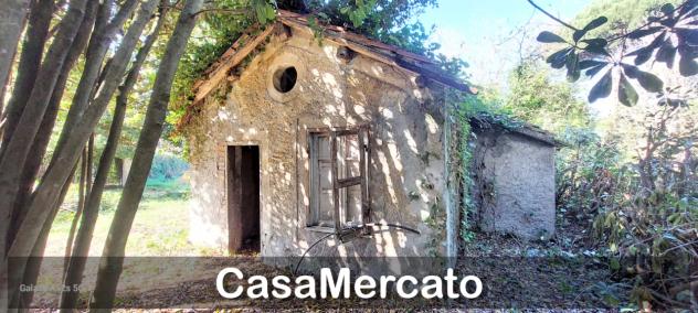 negozio in vendita a Rocca di Papa