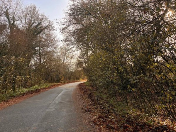 terreno edificabile in vendita a Rocca di Papa