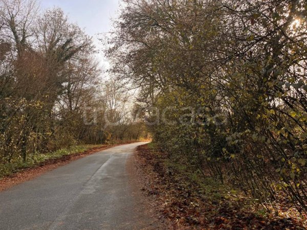 terreno agricolo in vendita a Rocca di Papa in zona Vivaro
