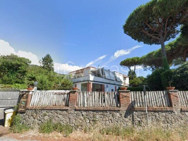 negozio in vendita a Rocca di Papa