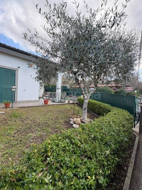 appartamento in vendita a Rocca di Papa