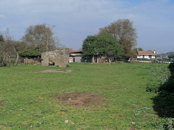 terreno agricolo in vendita a Rocca di Papa