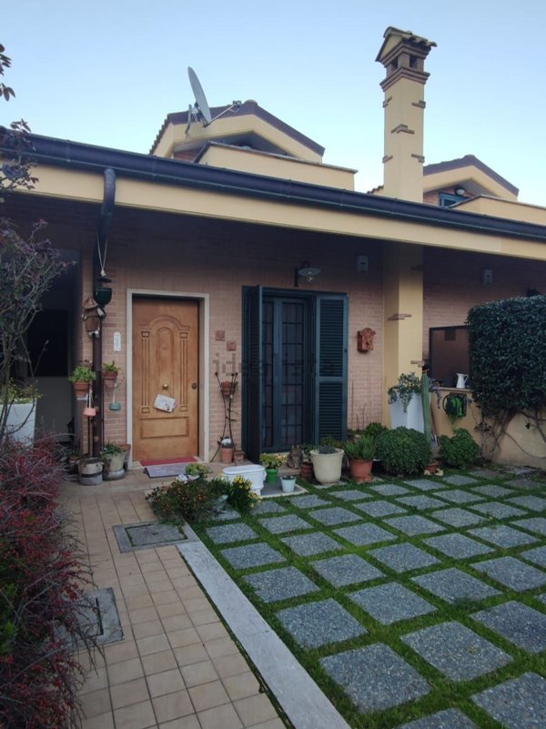 esavano in vendita a Rocca di Papa