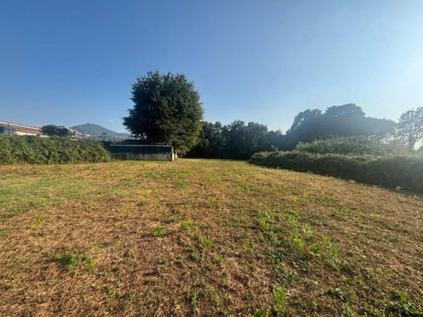 terreno agricolo in vendita a Rocca di Papa