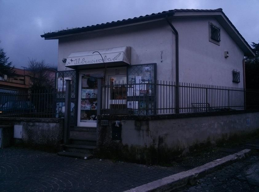 negozio in vendita a Rocca di Papa