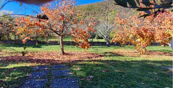casa indipendente in vendita a Roccagiovine