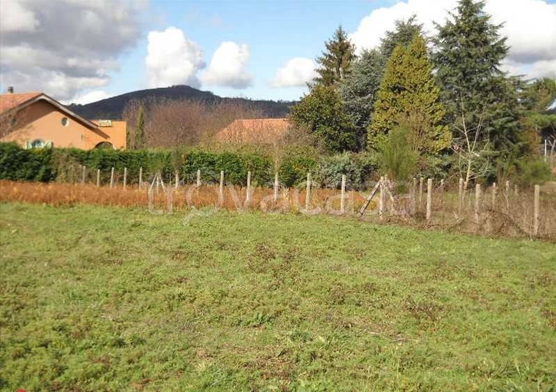 terreno agricolo in vendita a Rocca Priora