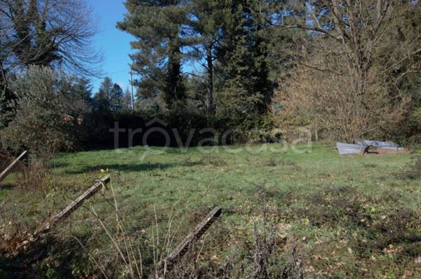 terreno agricolo in vendita a Rocca Priora