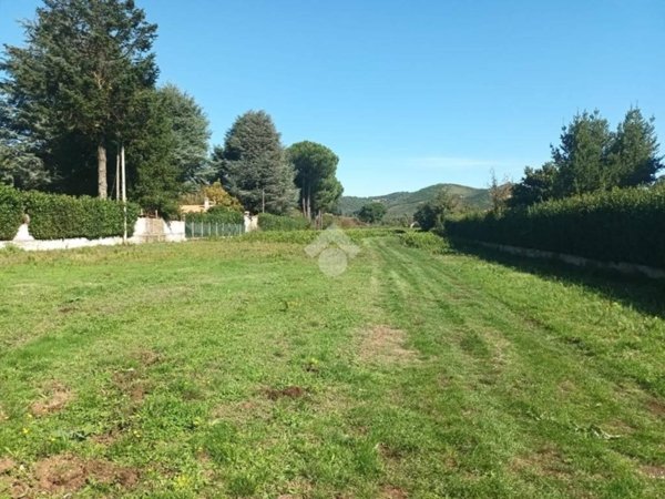 terreno agricolo in vendita a Rocca Priora