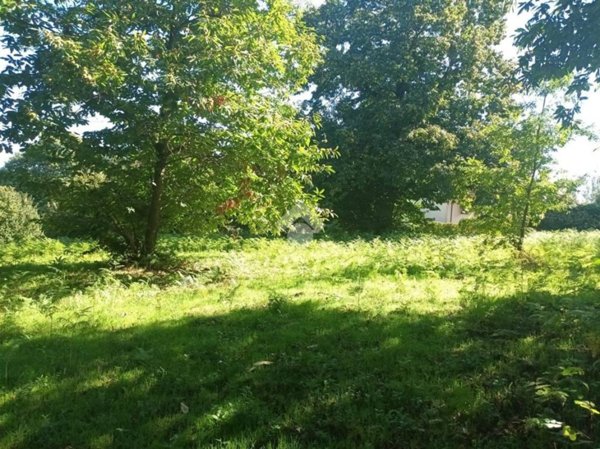 terreno agricolo in vendita a Rocca Priora